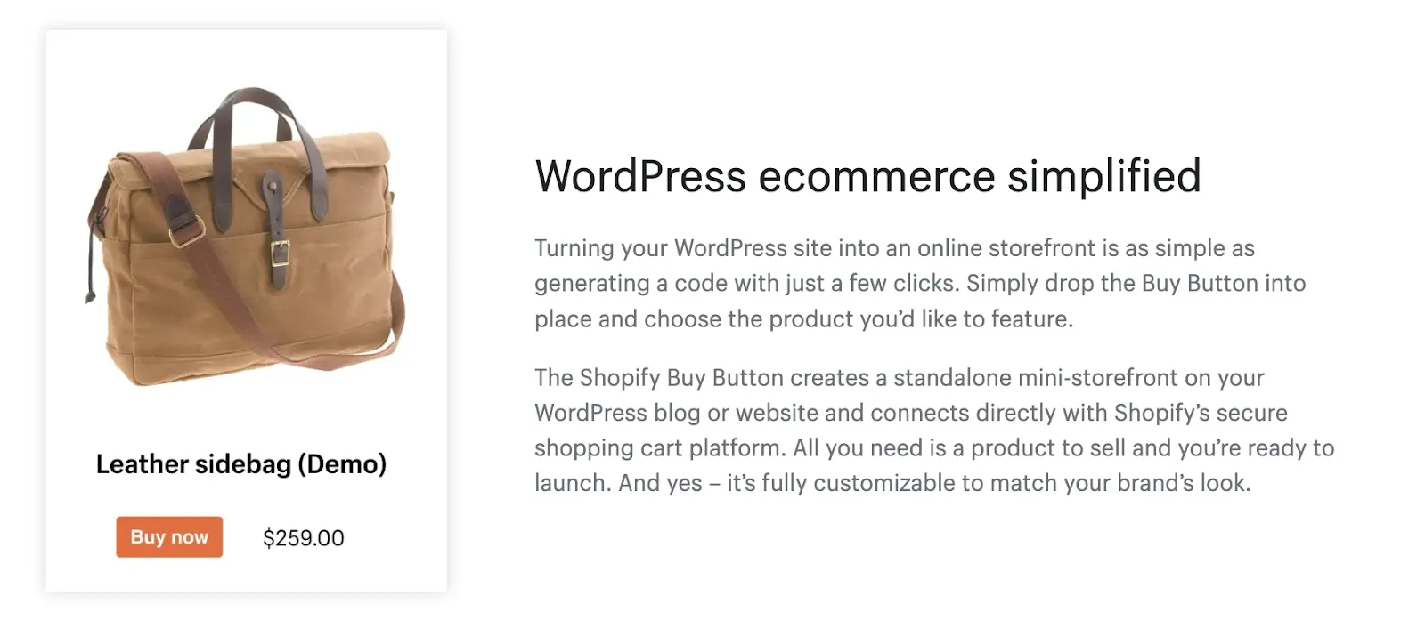 Explanation of what Shopify Buy Button does