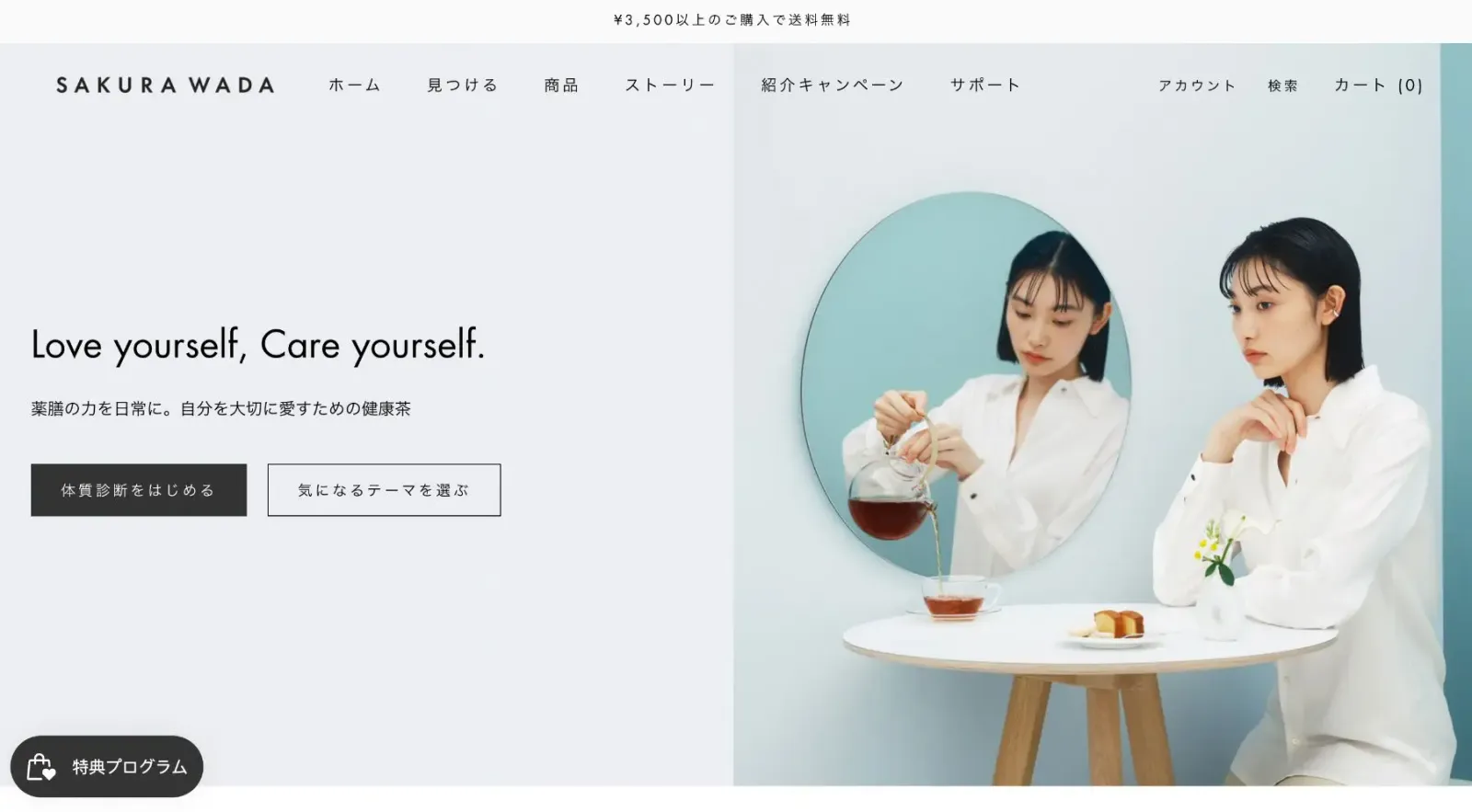 Sakura Wada home page