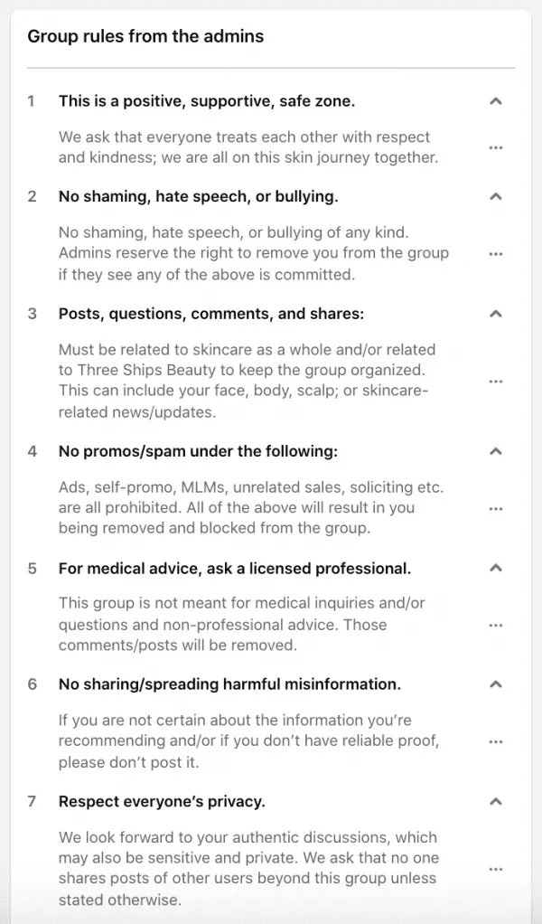 Three Ships' Community Guidelines